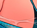 sex