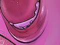 mouth